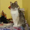 Отзыв от Виктория Морозова